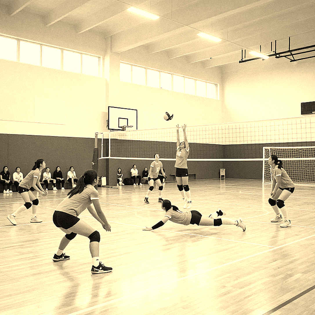 Bóng chuyền tính điểm ra sao? Giải mã luật Rally Point, set 15 và chiến thuật ẩn sau từng con số